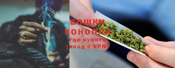 PSILOCYBIN Верхний Тагил