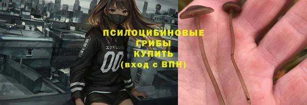 шишки Сафоново