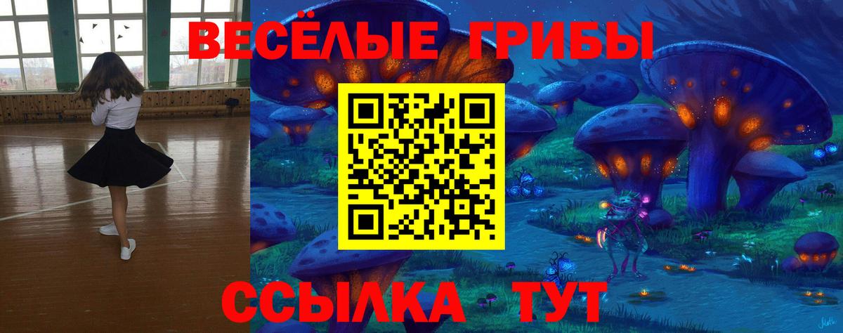Псилоцибиновые грибы MAGIC MUSHROOMS  Галлюциногенные грибы Magic Shrooms  Вход с VPN  Тверь 